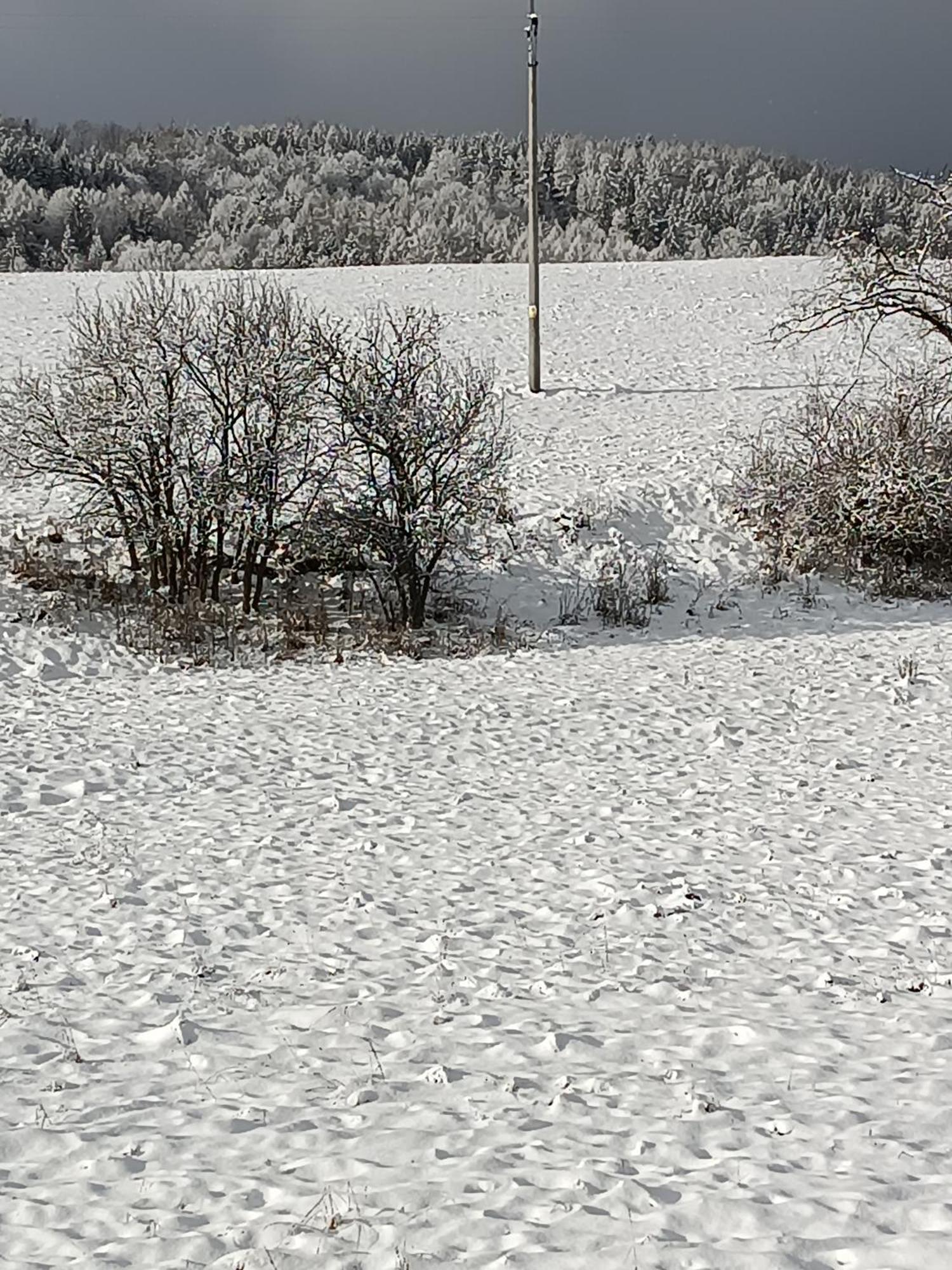 Ubytovani U Babicky Velké Losiny Esterno foto